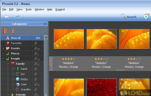 PicaJet Photo Organizer - Download