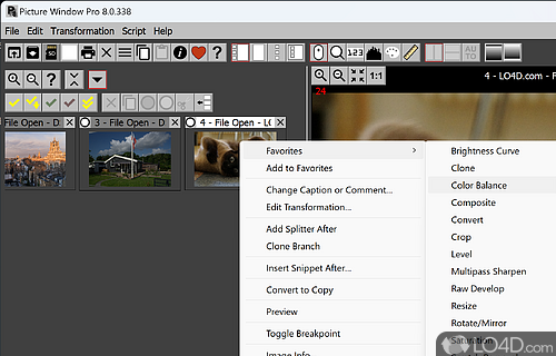 Application settings - Screenshot of Picture Window Pro