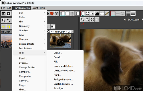 Beginner-friendly - Screenshot of Picture Window Pro