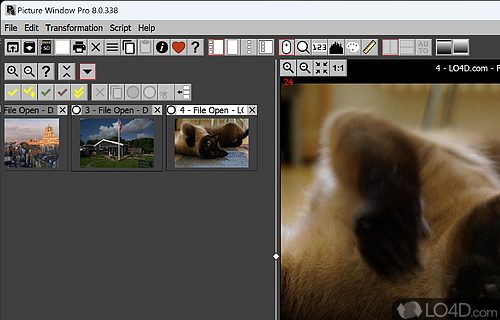Manage photos by applying various types of filters, masks - Screenshot of Picture Window Pro