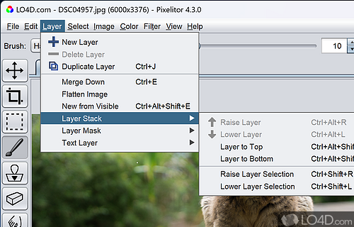 Free image editor - Screenshot of Pixelitor