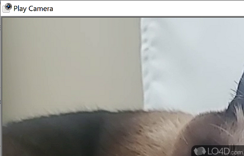 Take screenshots, record videos using the PC camera - Screenshot of Play Camera