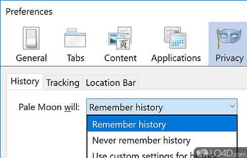 Option to forget browsing history after you've closed the browser - Screenshot of Pale Moon Portable