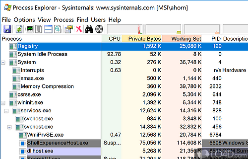 Portability perks - Screenshot of Process Explorer