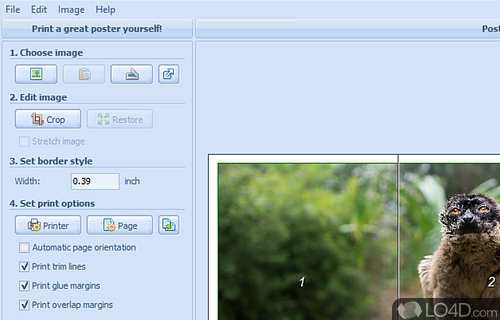 Follow a couple of easy steps to create a great looking print - Screenshot of ProPoster