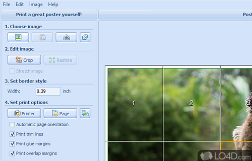 ProPoster Screenshot