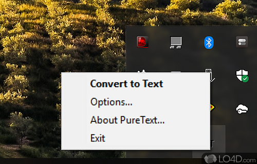 Convert rich formatting text to plain text using a global hotkey, while running on low system resources - Screenshot of PureText