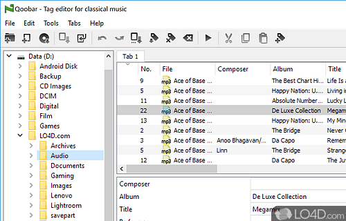 Organize music collection fast and efficiently with a large variety of tag fields to fill in - Screenshot of Qoobar