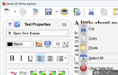 Simple setup and clear-cut interface - Screenshot of QT Writer Express