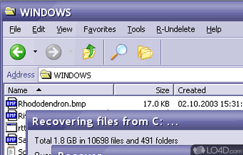 Screenshot of R-Undelete - Recover deleted files FAT, NTFS, NTFS5 and Ext2FS files