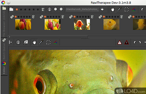 Screenshot of RawTherapee - Photo editing app aimed at unprocessed images from digital cameras (RAW format), with a wide array of tweaks
