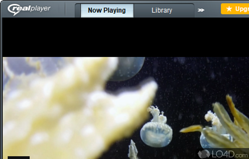 RealPlayer 22 Free Download - PC Wonderland