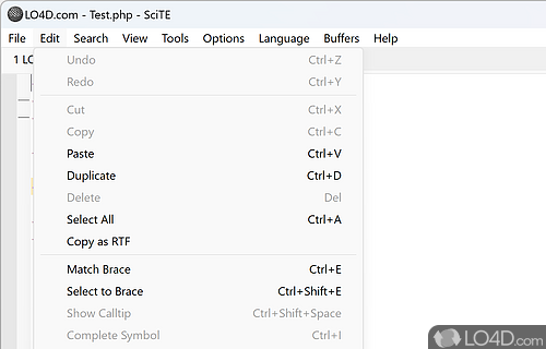 Simple code editor - Screenshot of SciTE