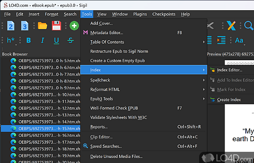 Code view, book browser, validation results - Screenshot of Sigil