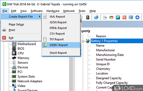 System information tool - Screenshot of SIW