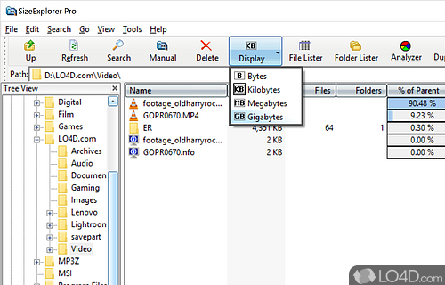 Identify dupe folders and manage attributes - Screenshot of SizeExplorer Pro