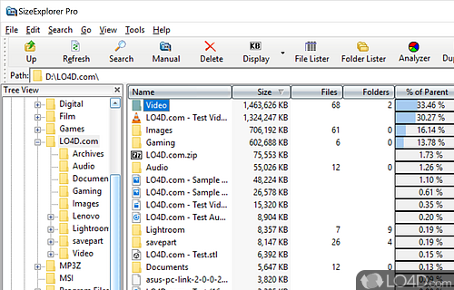 Analyze the disk space usage on computers - Screenshot of SizeExplorer Pro