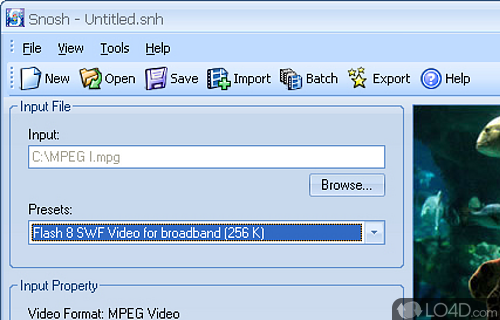 Screenshot of Snosh - Can convert media to Flash SWF and FLW in batch mode