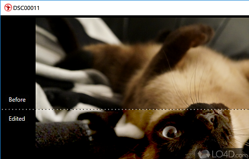 A wide range of editing tools - Screenshot of StudioLine Photo Basic