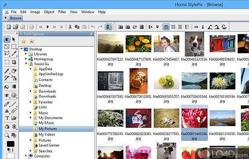 Screenshot of StylePix - Graphics editing software utility that enables users to enhance their photos by adding shapes