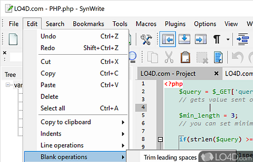 Python - Screenshot of SynWrite