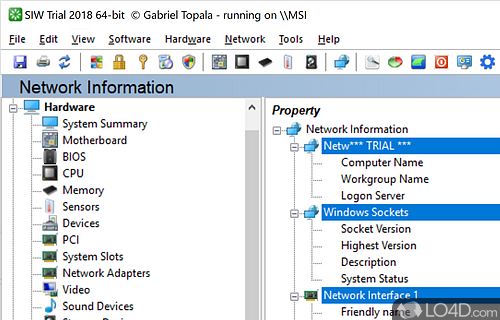 User interface - Screenshot of System Information Tool