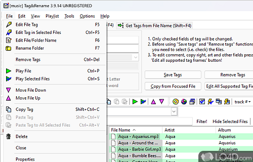 Music file tag editor - Screenshot of Tag&Rename