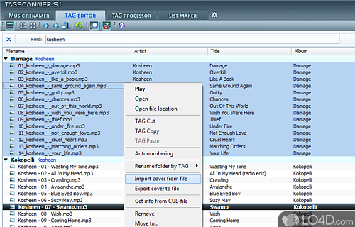 Screenshot of TagScanner - Resourceful song manager for files and tags
