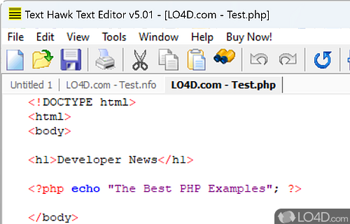 User interface - Screenshot of Text Hawk Text Editor