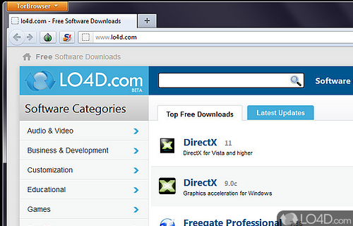 Screenshot of Tor Browser Bundle - A built-in addon for enhanced security