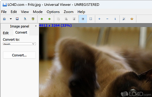 Open files of various types with this tool, such as images - Screenshot of Universal Viewer Pro