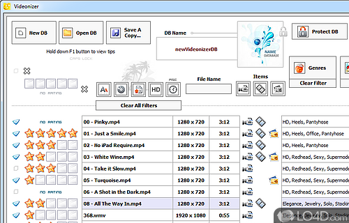 Videonizer Screenshot