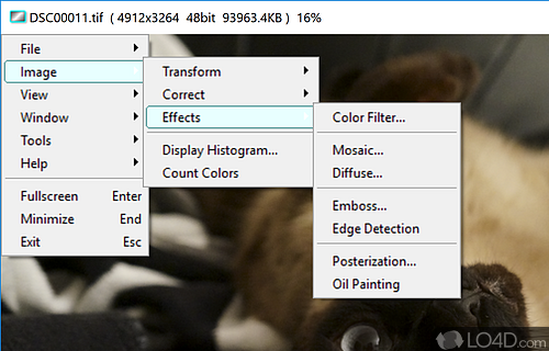 Resize, crop, color correction, histogram, and more - Screenshot of Vieas