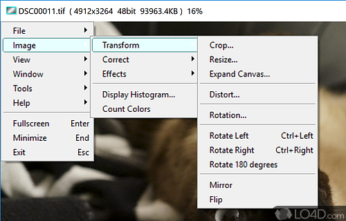 Image editor with a surprisingly rich set of features for photo effects, crop, resize, color correction - Screenshot of Vieas