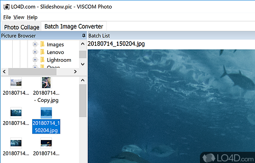 Convert images to popular formats - Screenshot of VISCOM Photo