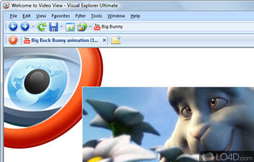 Visual Explorer Screenshot