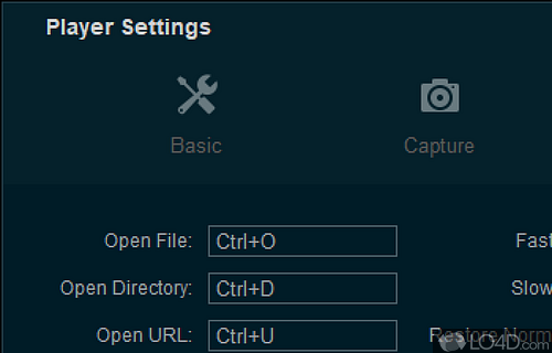 User interface - Screenshot of VSPlayer