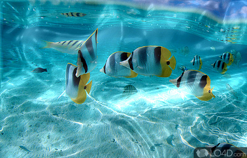 Screenshot of Watery Desktop 3D - Desktop screensaver that will add water effects such as waves