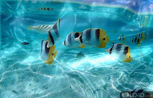 Watery Desktop 3D Screenshot