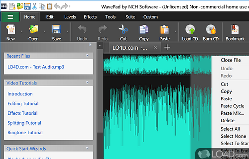 Wavepad Audio Editor Screenshot