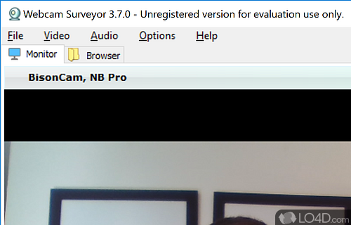 Complete video surveillance solution that includes motion detection possibilities - Screenshot of Webcam Surveyor