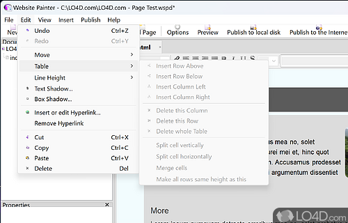 Website editing features - Screenshot of WebsitePainter