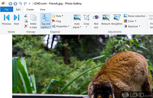 Organize, edit and share photos of friends and family - Screenshot of Windows Photo Gallery