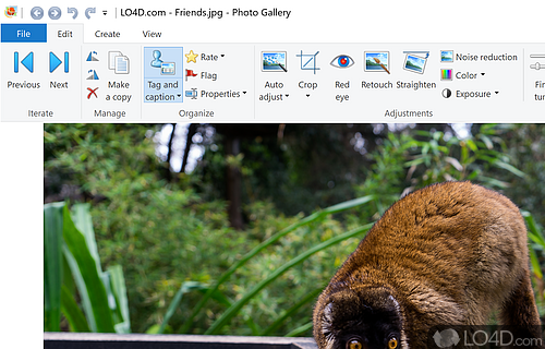 Windows Photo Gallery Screenshot