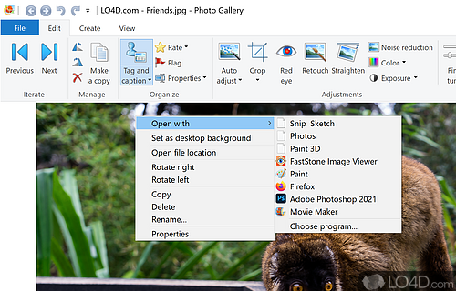 Tagging, advanced search, and slideshows - Screenshot of Windows Photo Gallery