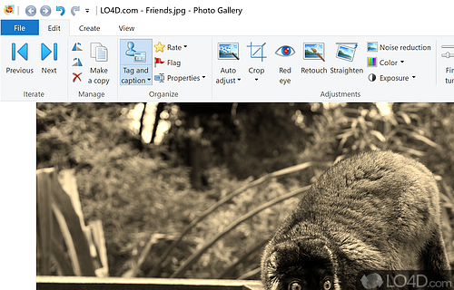 Auto photo tweaks, panoramas, fusing, collages, and sharing - Screenshot of Windows Photo Gallery