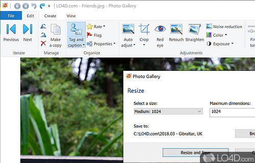 Windows Photo Gallery - Download