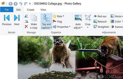 Make your photos really stand out with powerful and editing tools - Screenshot of Windows Photo Gallery