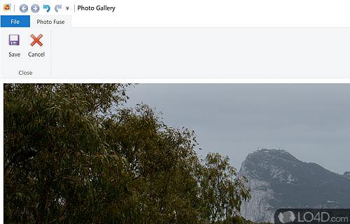 Microsoft - Screenshot of Windows Photo Gallery