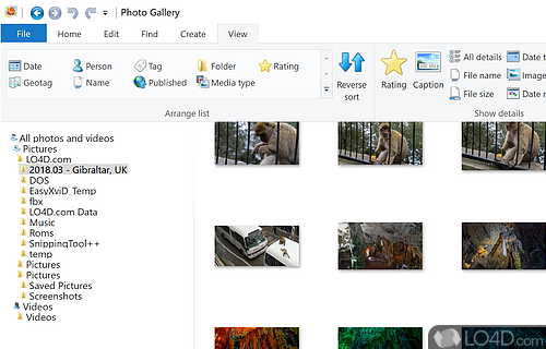 Movie Maker - Screenshot of Windows Photo Gallery